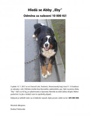 Hledá se Abby „Eby“ – prosíme o pomoc